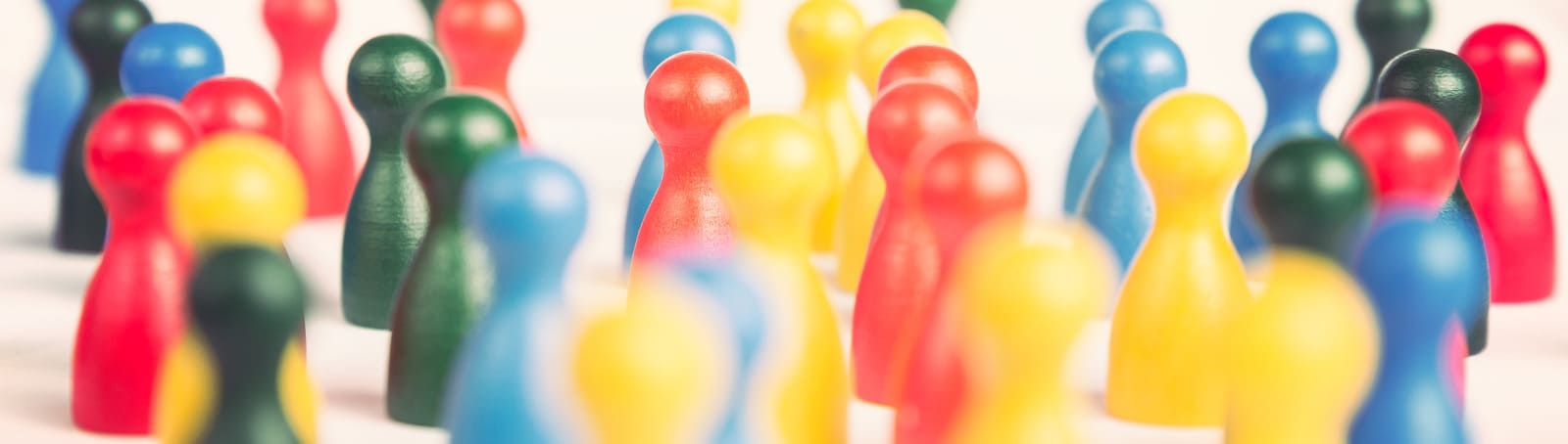 Thriving in a Diverse World: Embracing Generalism with Pimaccounting